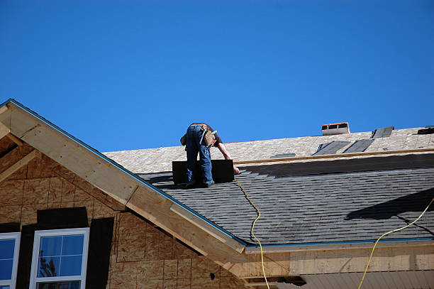 Best Roof Ventilation Installation  in New Ulm, MN