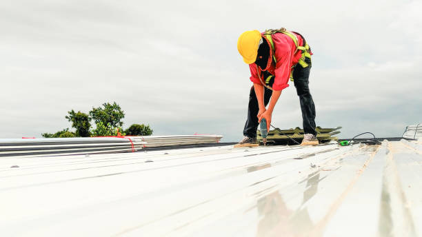 Best Roof Moss and Algae Removal  in New Ulm, MN