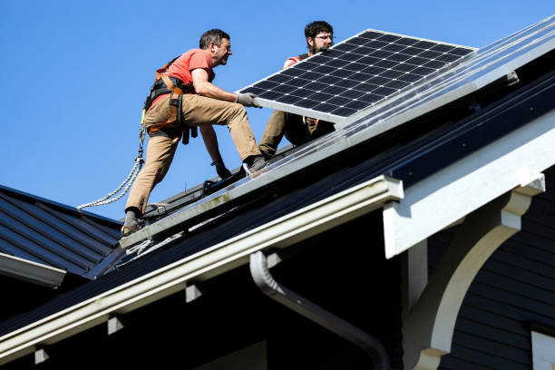 Best Roof Moss and Algae Removal  in New Ulm, MN